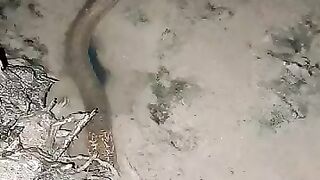 Looking for a fish or eel.. Thanks for watching..!! 40