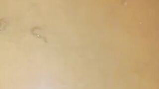 Looking for a fish or eel.. Thanks for watching..!! 41