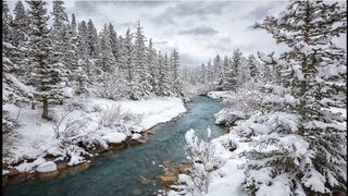 Winter Coat - id | Trending HD Video 58