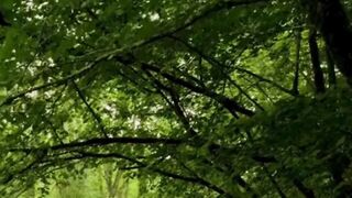 Beautiful nature 272