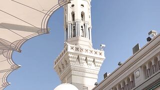 prophet mosque | Professional HD Video