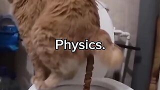 Professeur de physique Sigma, illusion de physique 248