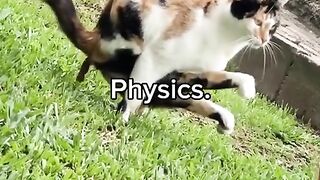 Professeur de physique Sigma, illusion de physique 249