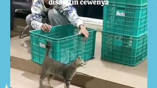 Herannya KO DIA NGERTI GITU????????