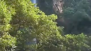 Let's protect the remaining nature