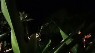 Midnight Solitude | Finding Peace in Every Moment