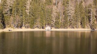 I Love Wallpaper - alpine lake with reflections in tranquil forest | Trending HD Video