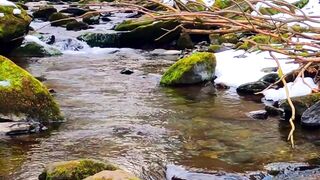 Winter Coat - river in winter | Trending HD Video
