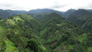 4K Wallpaper - scenic aerial view of lush green mountains | Trending HD Video