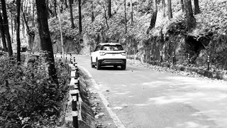 Car - car racing on a forest road | Trending HD Video