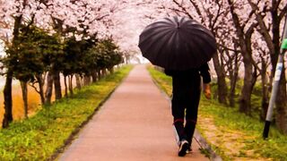 ✅Dia chuvoso- Música relaxante com sons suaves de chuva durma tranquilo relaxe- Fragmentos #88