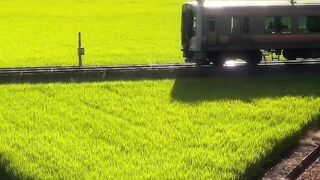 Beautiful train scenario✨