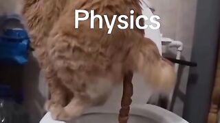 Professeur de physique Sigma, illusion de physique 258