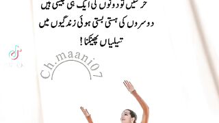 True Lines 27