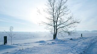 The Shy Snow Woman and the Cursed Ring - id | Trending HD Video 108