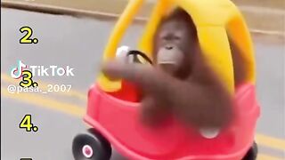 Funny incident