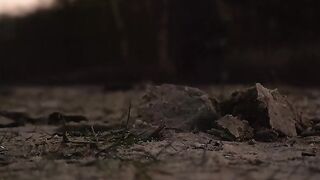 4K Wallpaper - id | Trending HD Video 6