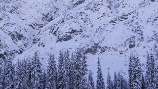 Winterhalter - stunning snowy alpine winter landscape | Trending HD Video