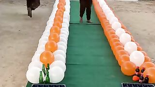 #ViralBalloonChallenge #BalloonPopGame #FunPartyGames #BalloonChallenge360 #PopBalloonFun #ExcitingGameClips #BalloonPlayTime #PartyGameMoments