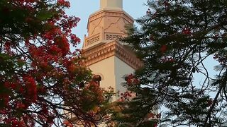 4K Wallpaper - scenic view of minaret amongst trees | Trending HD Video