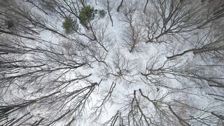 Winter Coat - id | Trending HD Video 60