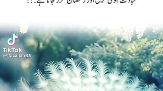 Golden Words 17