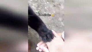Funny Videos Part 75