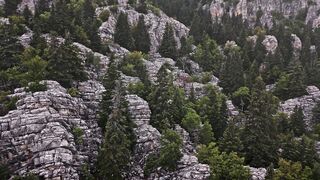 Wallpaper hanging - aerial view of rugged forest and rocky terrain | Trending HD Video