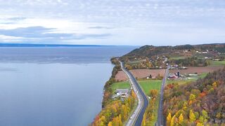 4K Wallpaper - aerial view of autumn landscape in sweden | Trending HD Video