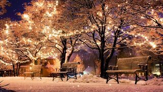 Winterhalter - id | Trending HD Video 64