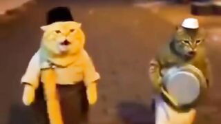 অবিবাহিতরে ডাকার জন্য বহুত মানুষ আছে