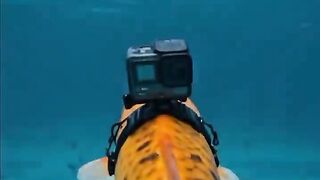 Fish's POV: Exploring the beauty of Mosque Under the Seal#islam