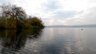 WallPics - 4K Wallpapers - the calm water of of a lake surface | Trending HD Video