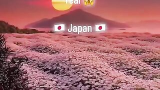 Places on Earth That Don’t Feel Real Japan Edition