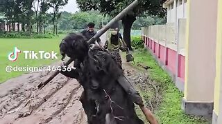 হাসি ফ্রি 3