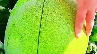 Japanese fruits