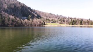 Wallpaper hanging - peaceful mountain lake with forest reflections | Trending HD Video