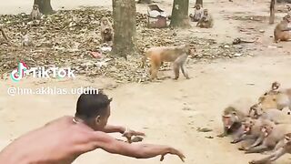 হাসি ফ্রি 8