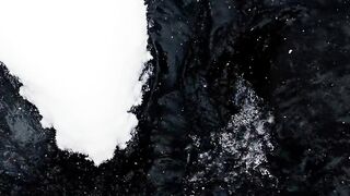 Winter Coat - snowflakes falling on a creek | Trending HD Video