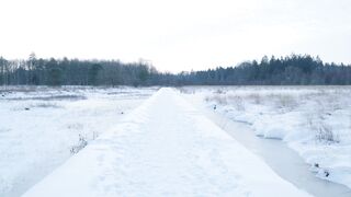 Winterhalter - id | Trending HD Video 65
