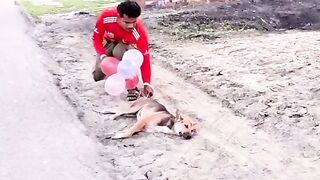 funny prank 10