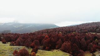 Wallpaper hanging - id | Trending HD Video 20