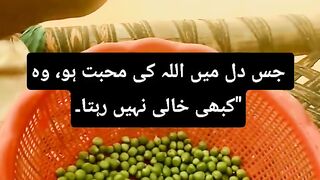 islamic_quote_s????#islamicquotes_#islamicshorts_#islamicstatus_#islamic_#islam_#shorts_#shortsfeed(720p).mp4