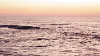 WallPics - 4K Wallpapers - id | Trending HD Video 33
