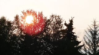 video of sunset | Professional HD Video