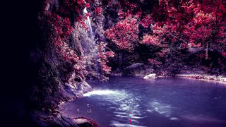 I Love Wallpaper - id | Trending HD Video 16