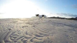 Funnyfuzzy - id | Trending HD Video 115