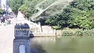 ভিডিও 4