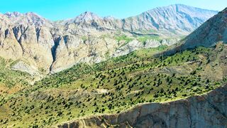 Travelpro - id | Trending HD Video 5