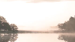 WallPics - 4K Wallpapers - id | Trending HD Video 40